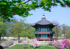 Pusan és Dél-Korea utazási ajánlatok